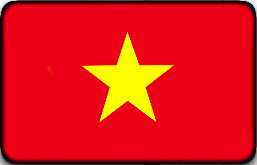 越南旅游电子签证（90天单次）[全国受理]-电子签